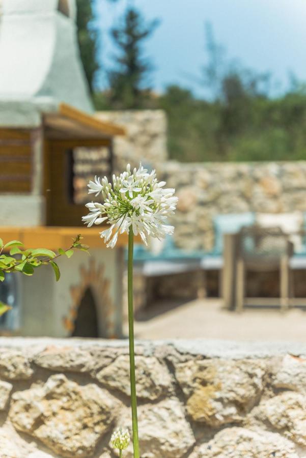 Villa Teachers Rock Lygia (Lefkada) Exterior foto